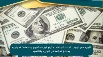 تنويه هام اليوم.. ضبط شبكات الاتجار غير المشروع بالعملات الأجنبية ومبالغ ضخمة في الجيزة والقاهرة